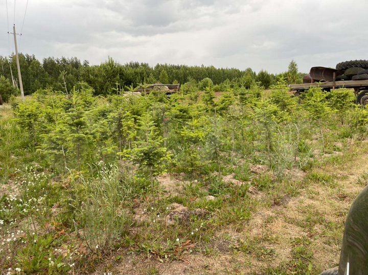 Участок 40,4 сот. (ИЖС)