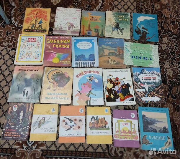 Пособия по русскому языку и развитию речи,книги по