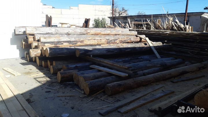 Лес кругляк