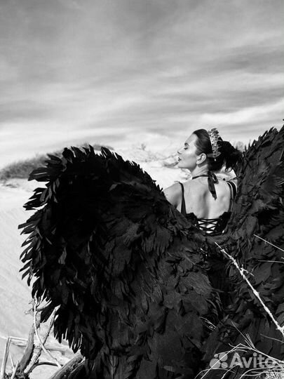 Крылья ангела чёрные