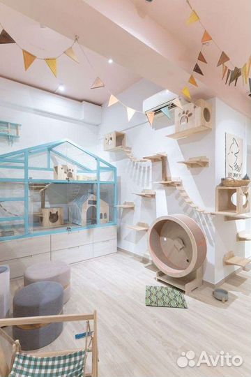 Игрушки для игрушек