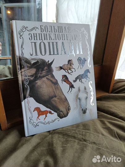 Книга лошади