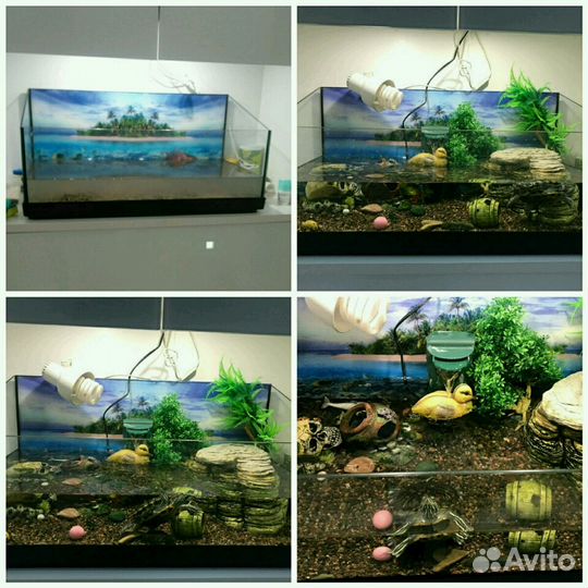 Чистка аквариумов Москва и Московская обл