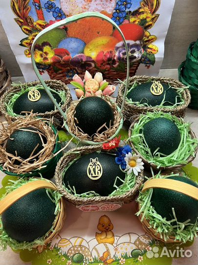 Яйца страуса Эму