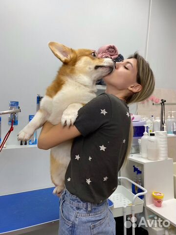 Грумер / Груминг с выездом на дом