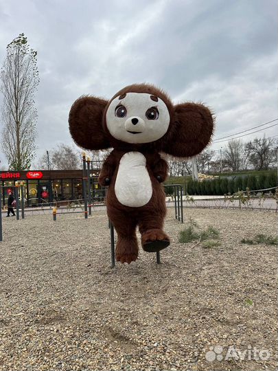 Поздравление от Чебурашки