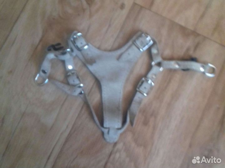 Необходимые принадлежити для собак