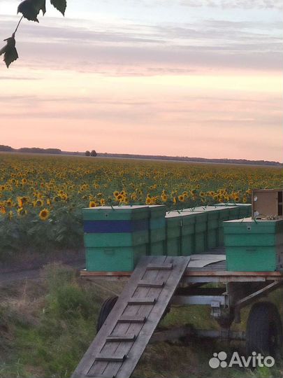 Телега тракторная бу