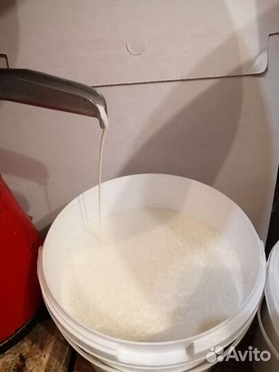 Творог пластовой