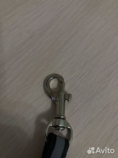 Поводок и ошейник для кошек