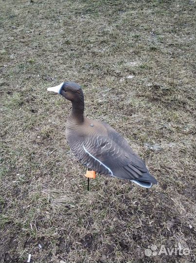 Чучела для охоты гусь softplast А комплект