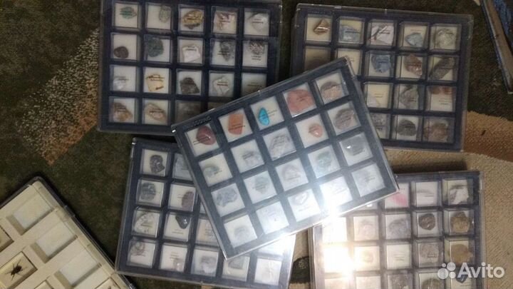 Коллекции минералов и насекомых