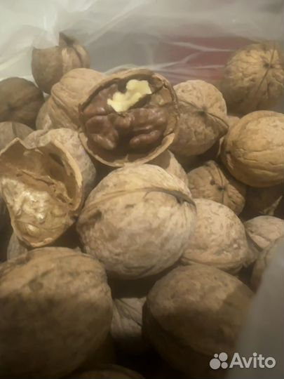 Грецкий орех в скорлупе