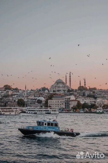 Репетитор арабского языка