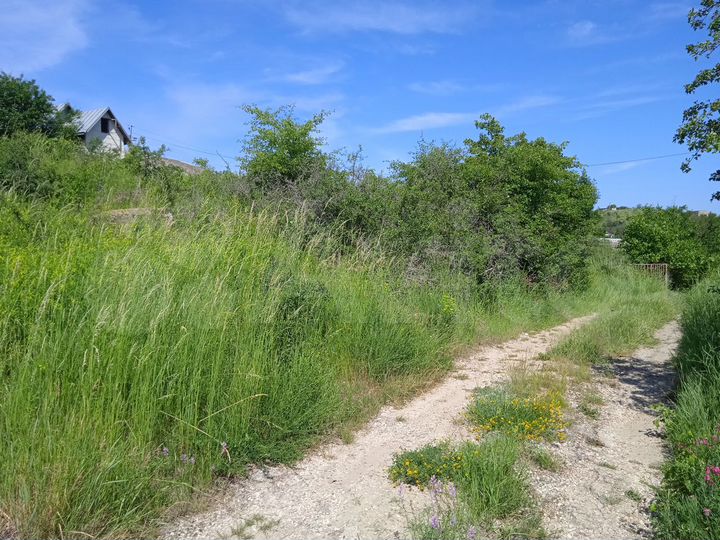 Участок 10 сот. (СНТ, ДНП)