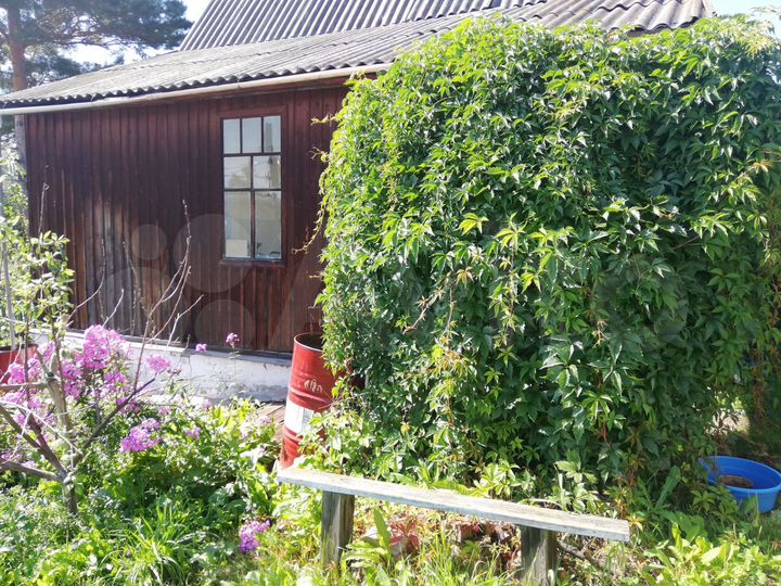 Дача 30 м² на участке 5 сот.