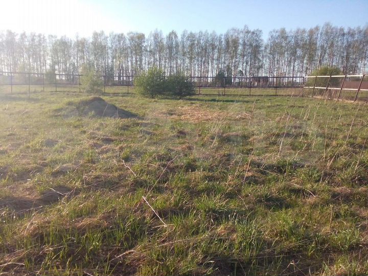 Участок 20 сот. (СНТ, ДНП)