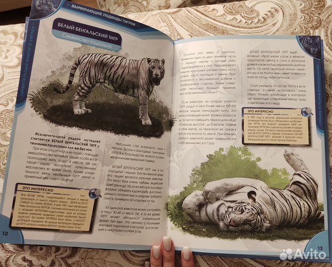 Удивительные факты о тиграх