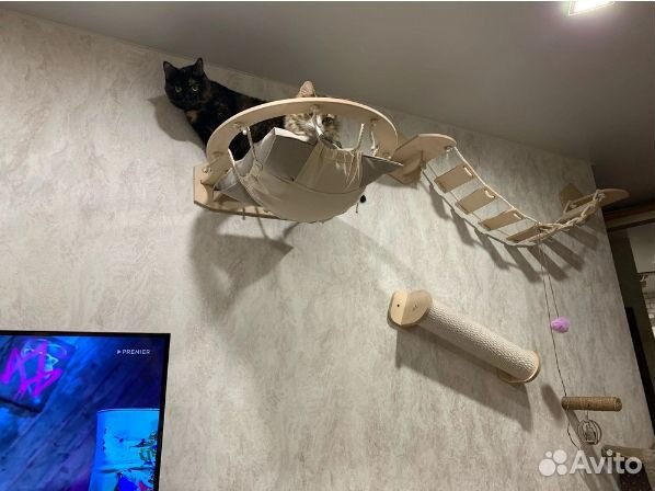 Настенные аксессуары для кошек