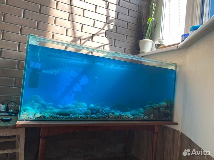 Аквариум