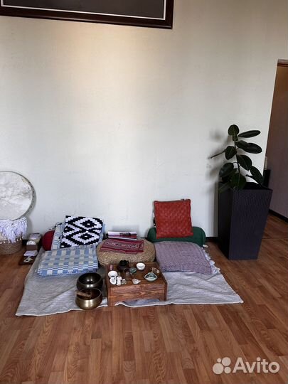 Фикус большо в плетегр кашпо