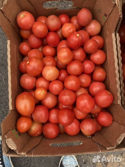 Помидоры сливка