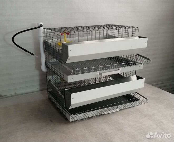 Клетки для перепелов