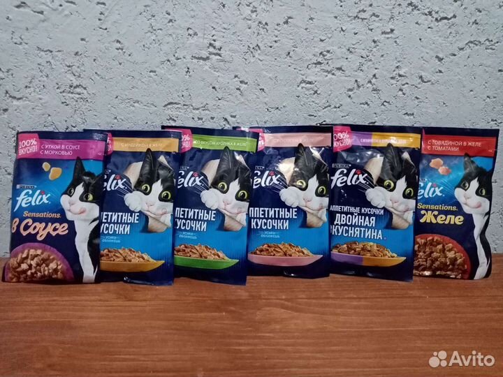 Корм для кошек и собак