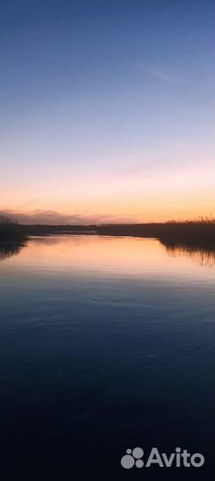 Охота и рыбалка