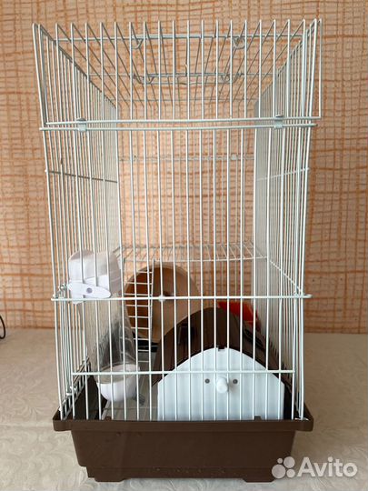 Клетка для хомяка