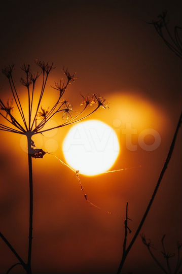 Дом 90 м² на участке 40 сот.