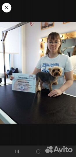 Обучение стрижке собак с ноля, Мастер-классы