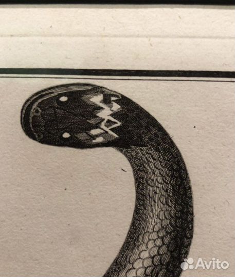 Старинная гравюра