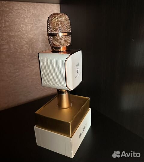 Микрофон колонка teana