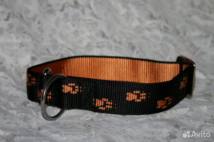 Ошейники для ездового спорта