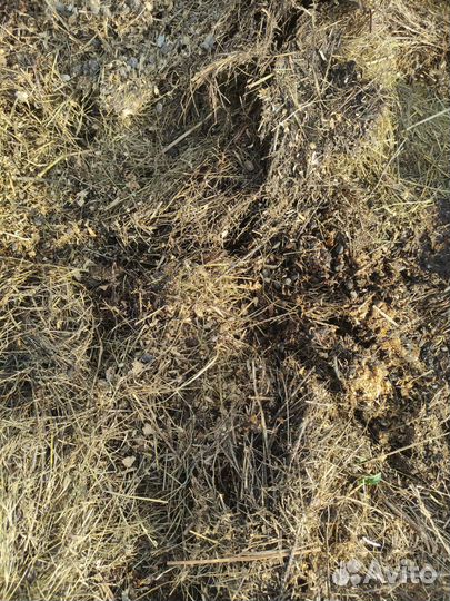 Козий навоз для грядок