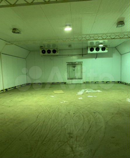 Свободного назначения, морозильная камера 395 м²