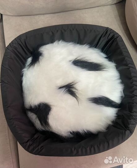 Лежанка новая для животных 44 см