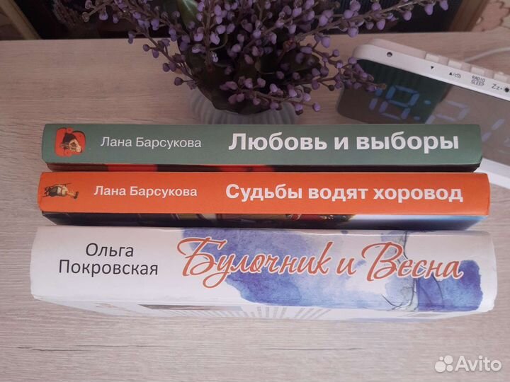 Книги Барсуковой и Покровской
