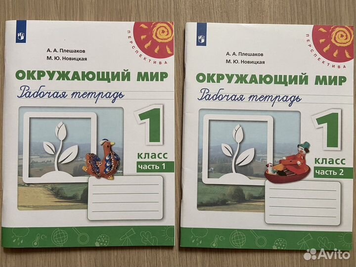 Рабочая тетрадь окружающий мир 1 класс