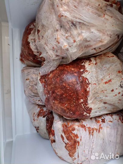 Мясо для собак