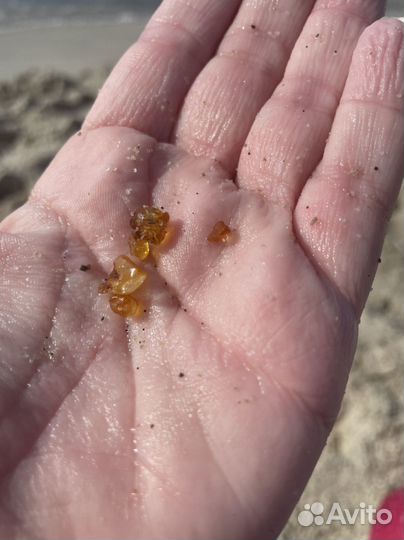 Индивидуальные экскурсии