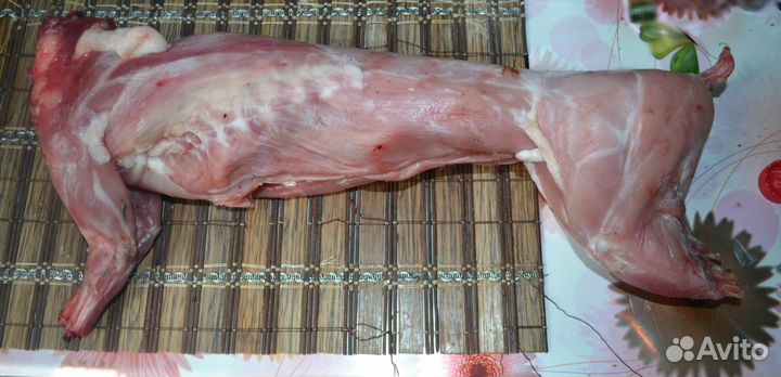 Крольчата белый панон.мясо.аренда