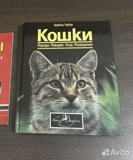 Книга 