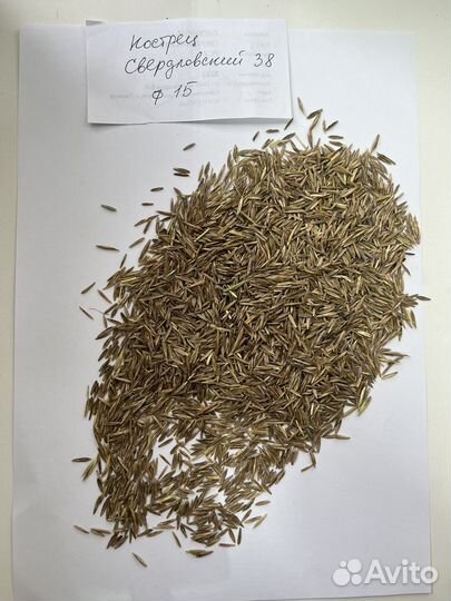 Семена кострец