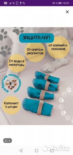 Ботинки для маленьких собак