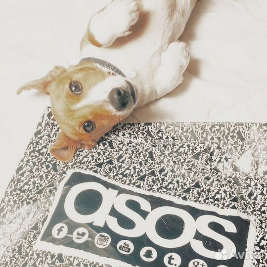 Закажу и доставлю ASOS zara H&M в Россию