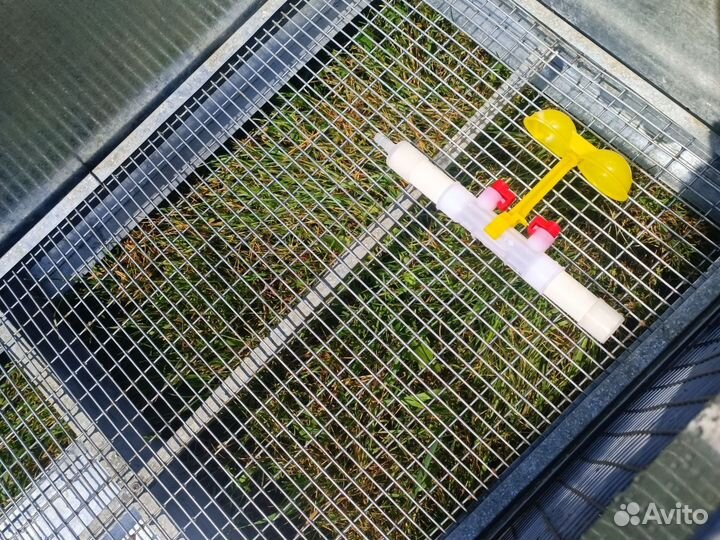 Брудер для цыплят, куриц из оцинковки