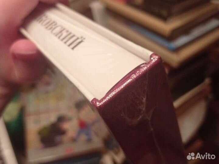 Маковский в футляре