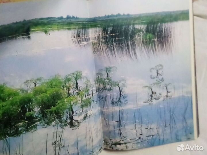 Мещерская сторона